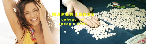 прущие грибы Арсеньев
