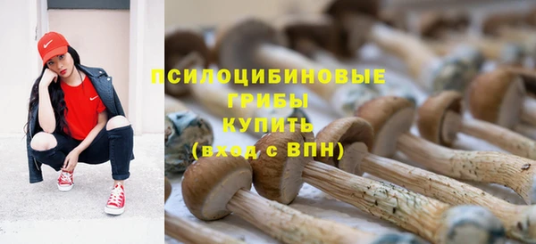 гидра Армянск