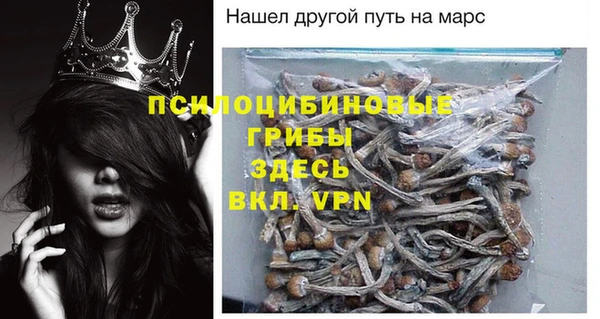 гидра Армянск