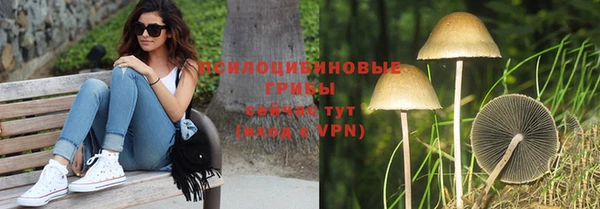 кокаин премиум Алексеевка