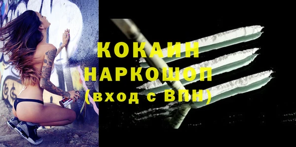 прущие грибы Арсеньев