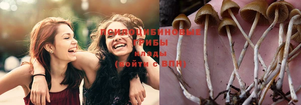 амф Алексин