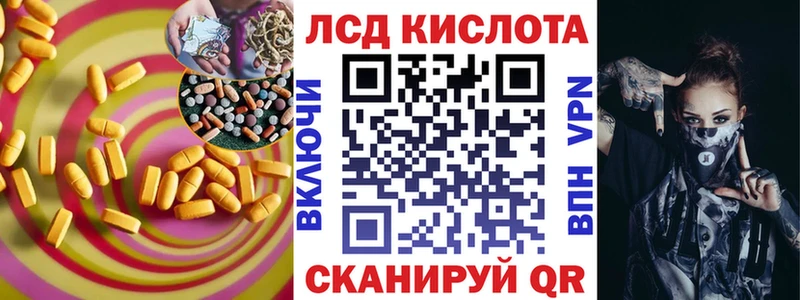 дарнет шоп  Светлоград  Лсд 25 экстази ecstasy 