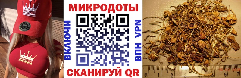Галлюциногенные грибы прущие грибы  купить наркотики сайты  Светлоград 