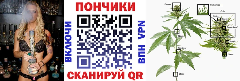 как найти наркотики  Светлоград  Канабис планчик 